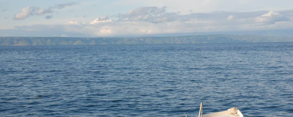 
            Фотография Приградики