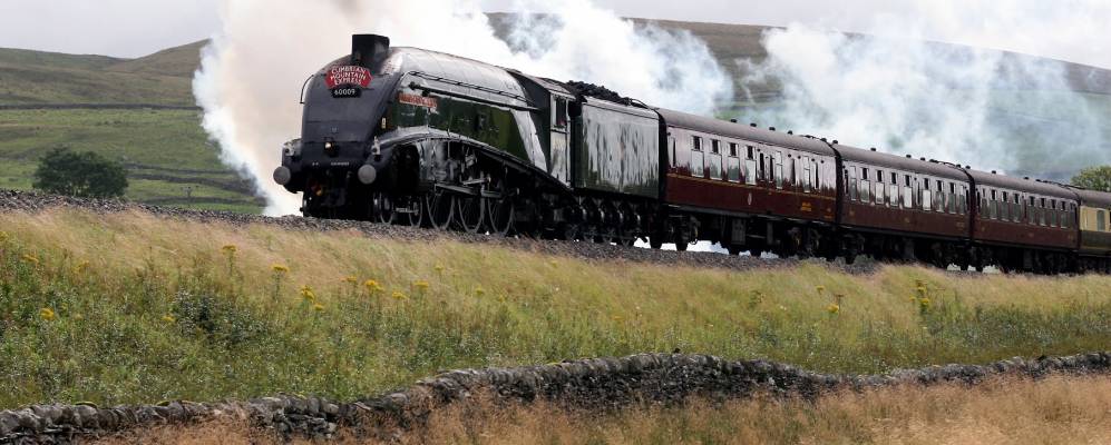 
            Фотография Хортон ин Риблсдейл