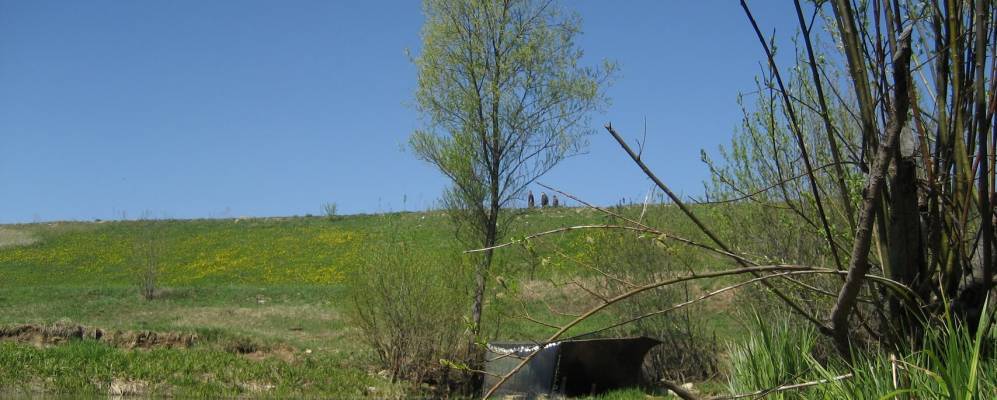 
            Фотография Дровново