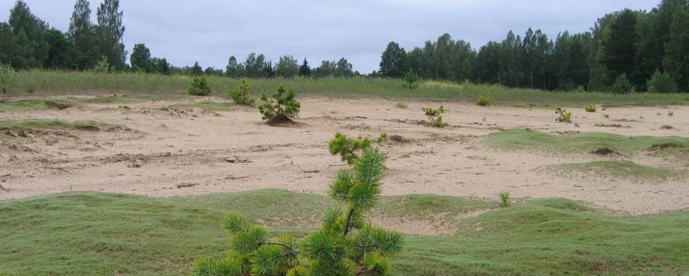 
            Фотография Пестриково