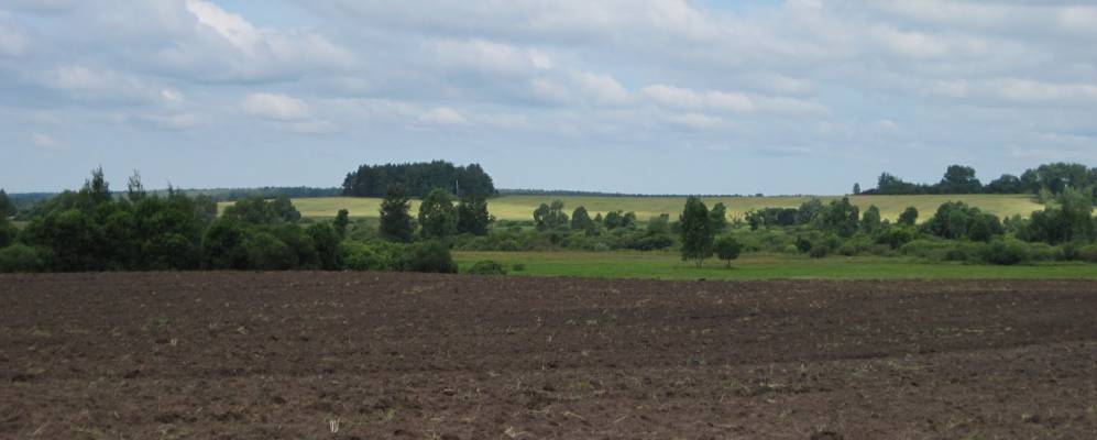 
            Фотография Андреевки