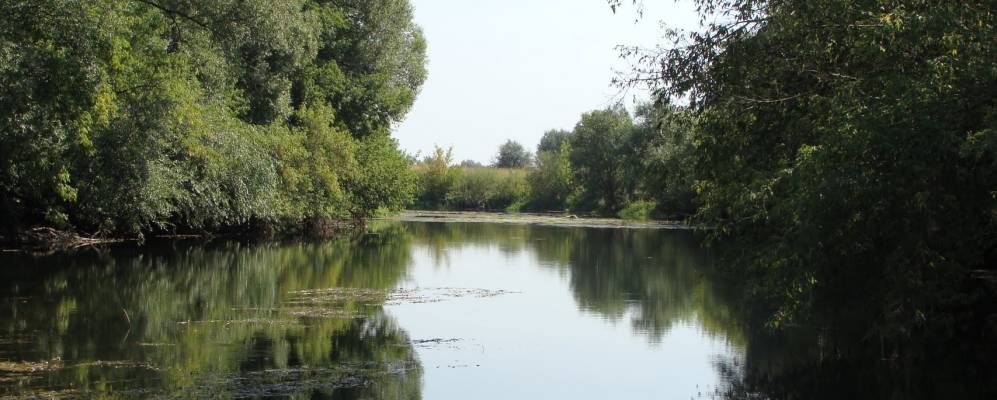 
            Фотография Куркино