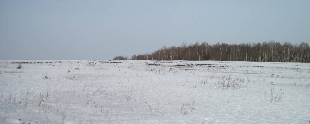 
            Фотография Щеголёво