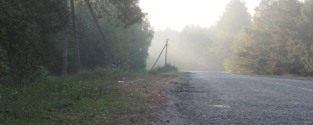 Фотография Сосновки