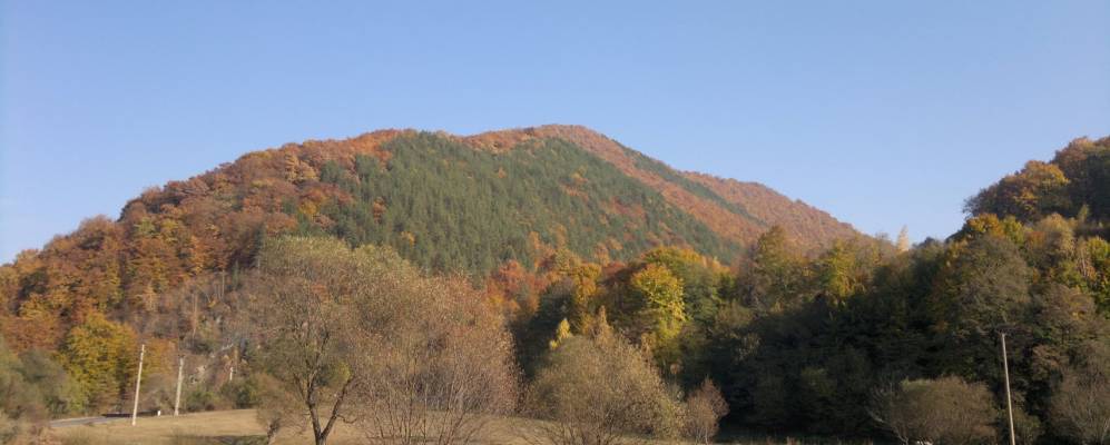 
            Фотография Сомешу Рече