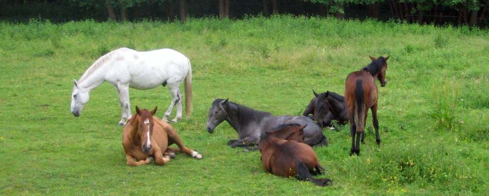 
            Фотография Зукова