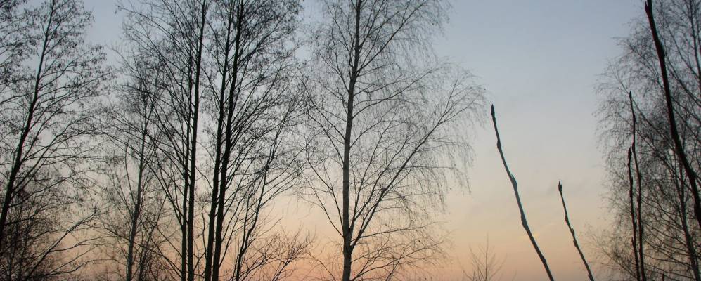 
            Фотография Деревной