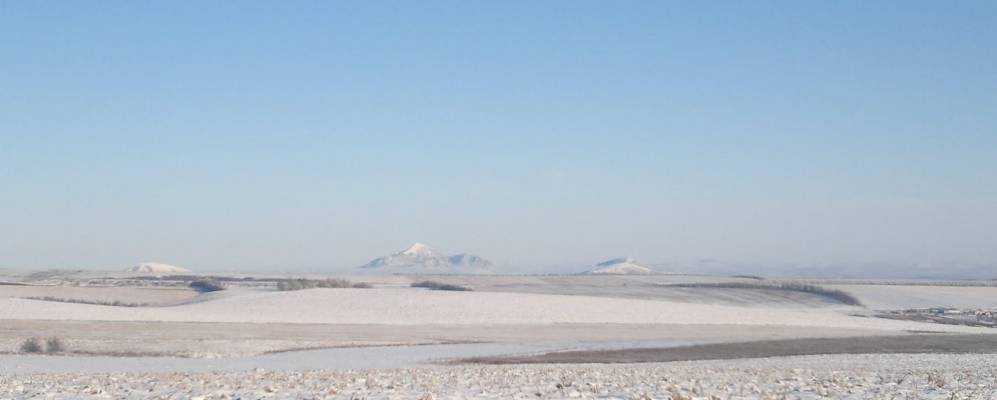 
            Фотография Зольского