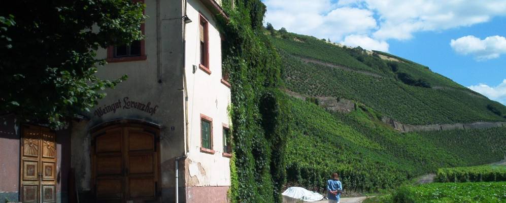 
            Фотография Мертесдорфа