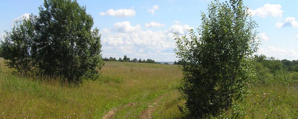 
            Фотография Новиково