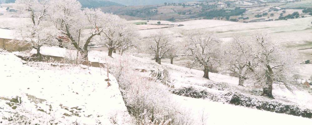 
            Фотография Эстасао-ду-Могадору
