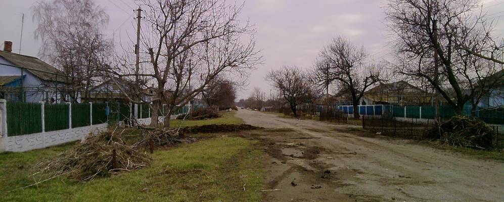 
            Фотография Ботанического