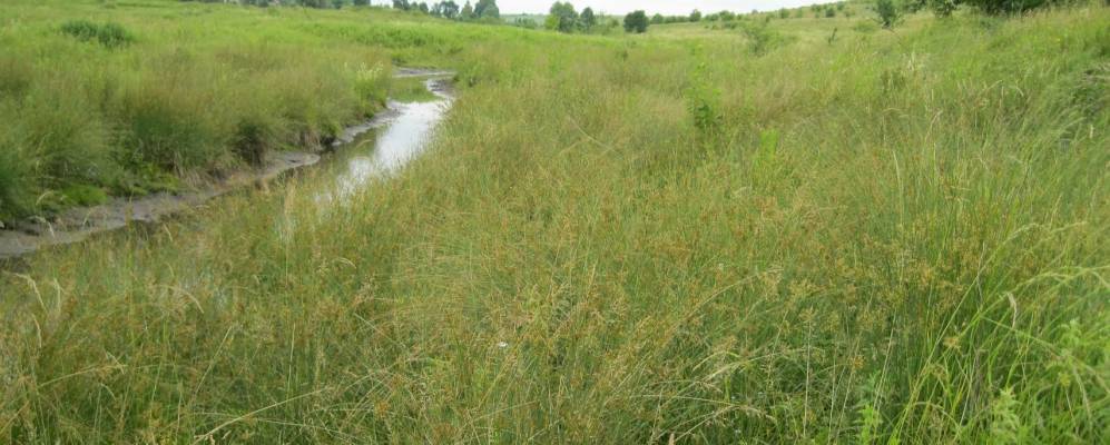 
            Фотография Мышлятичи