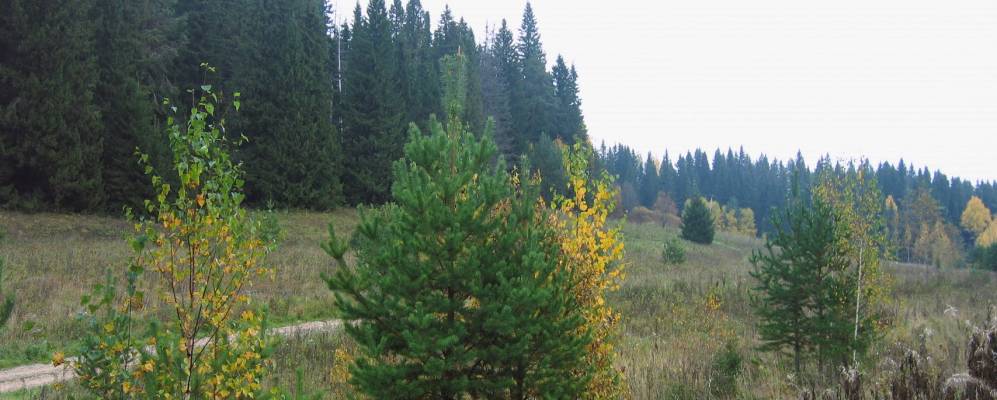 
            Фотография Русаков