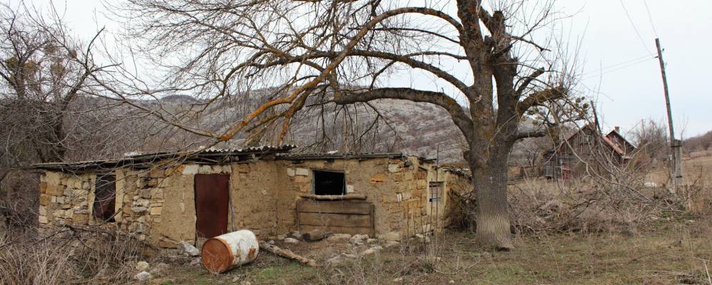 
            Фотография Пчелиного