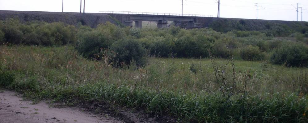 
            Фотография Каменного