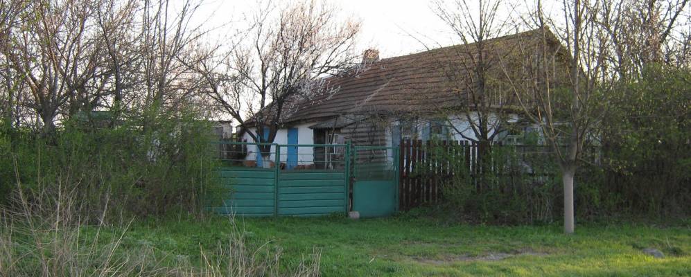 
            Фотография Гряковатого