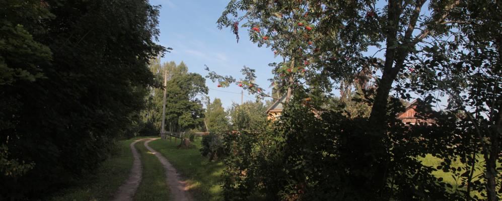 
            Фотография Лобово