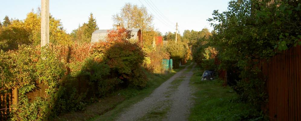 Фотография Петелино