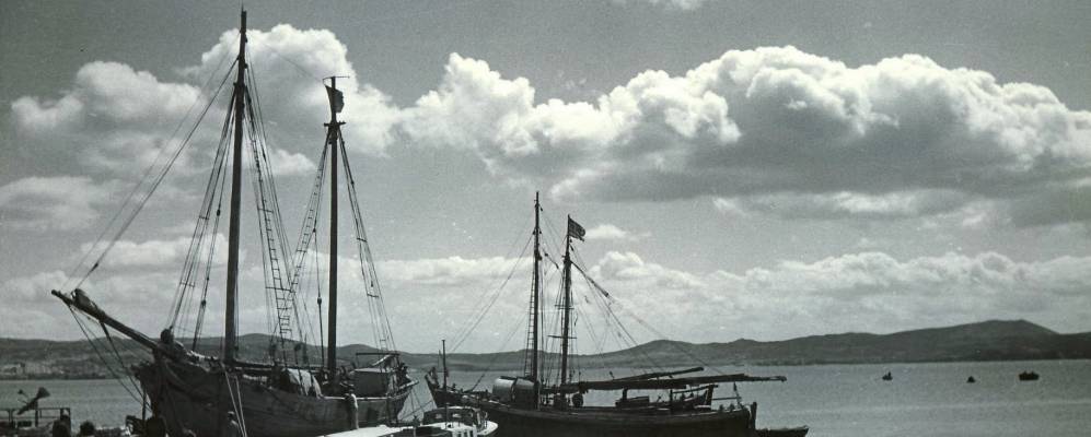 
            Фотография Адамаса