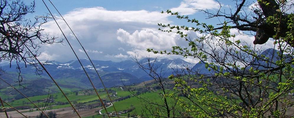 
            Фотография Мерго