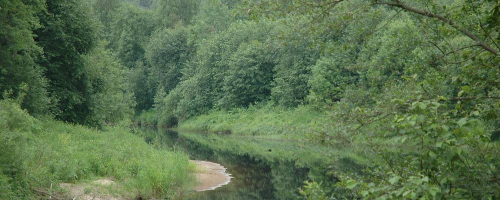 
            Фотография Тикачево