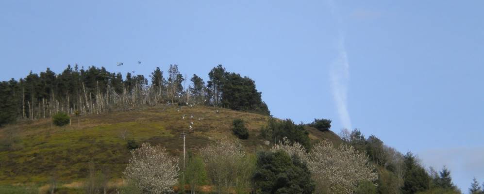 
            Фотография Абертиллерай