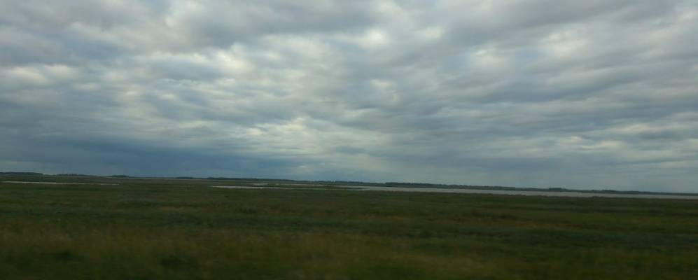 село нагорское притобольный район курганская область. камышное курганской обл. камышное варгашинский район. камышное курганская область сафакулевский район. камышное курганская область сафакулевский район.