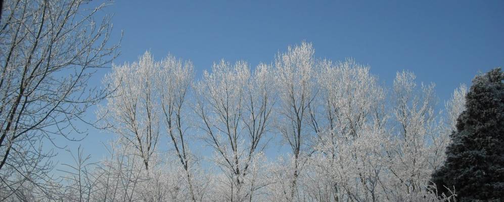 
            Фотография Пароны