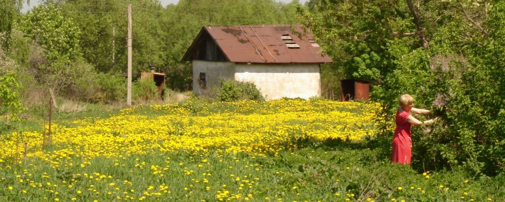 
            Фотография Ульяновки