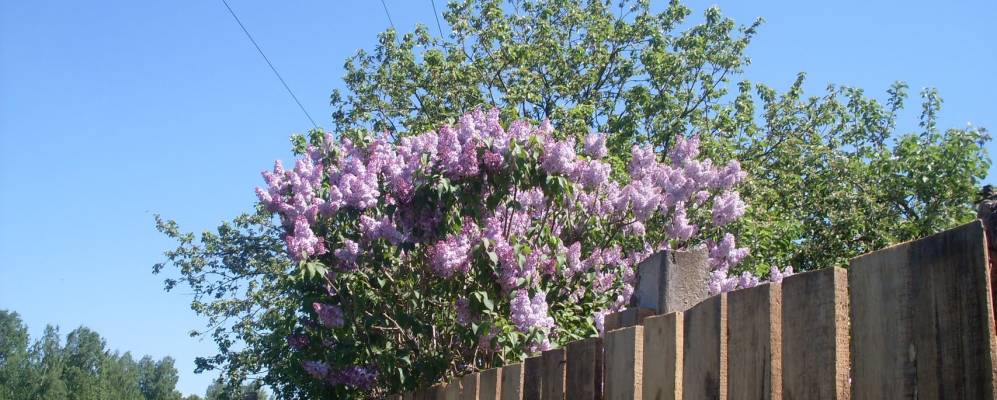 Фотография Малого Клочково