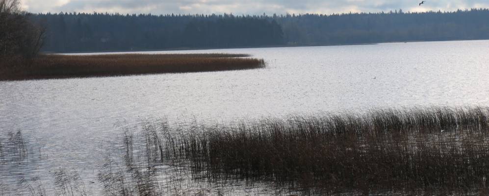 
            Фотография деревни Броди