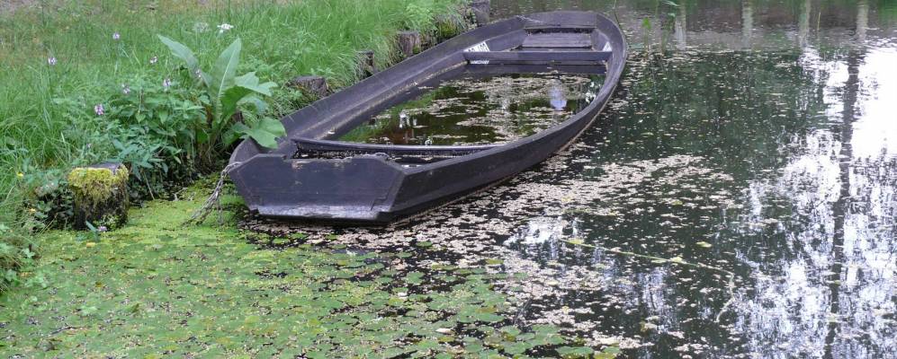 
            Фотография Люббена