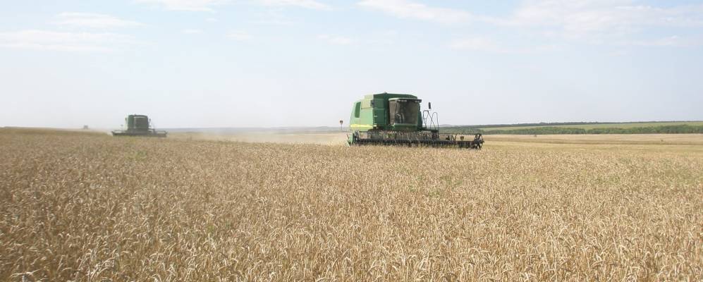 
            Фотография Михайловки