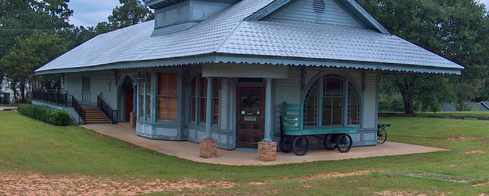 
            Фотография Сайтронелла