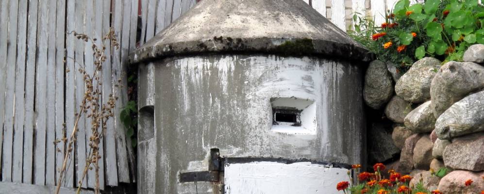 
            Фотография Круглого