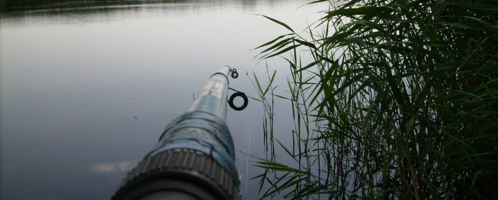 
            Фотография Грушки