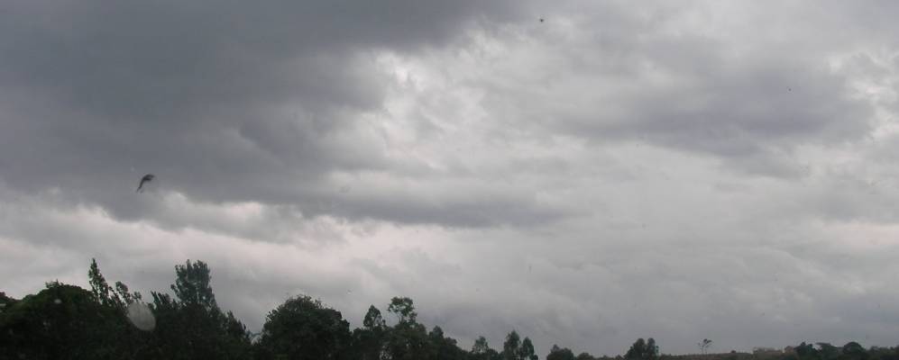 
            Фотография Кабангы