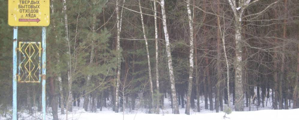 Фотография Старины