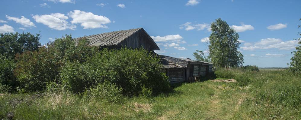 Фотография Потанины