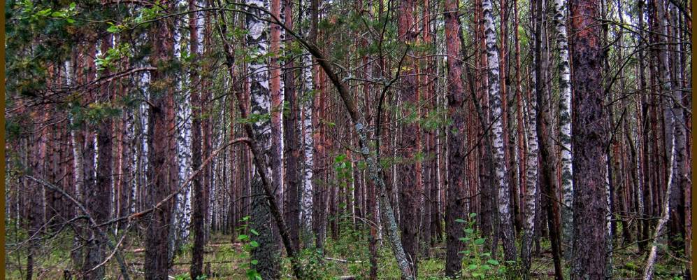 
            Фотография Долгинино