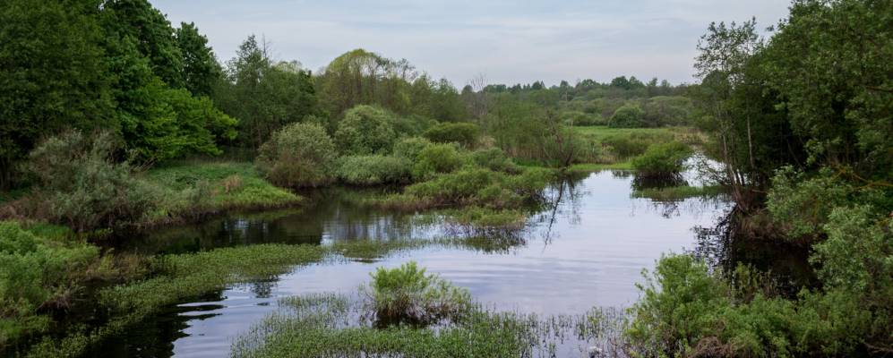 Фотография Слободы
