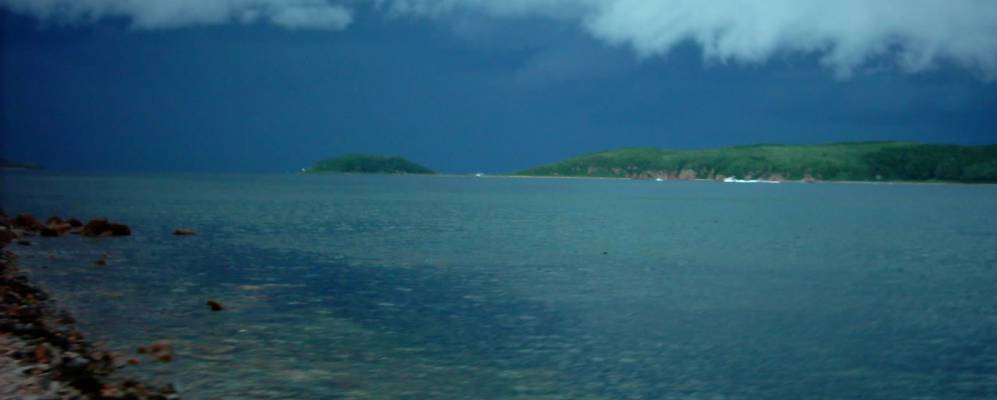 Фотография Старка