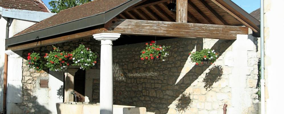 
            Фотография Сесси