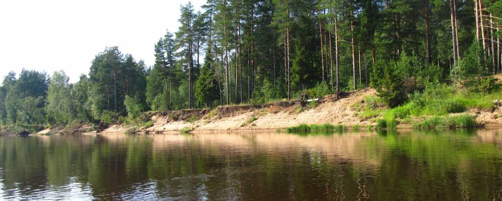 
            Фотография Логиновской