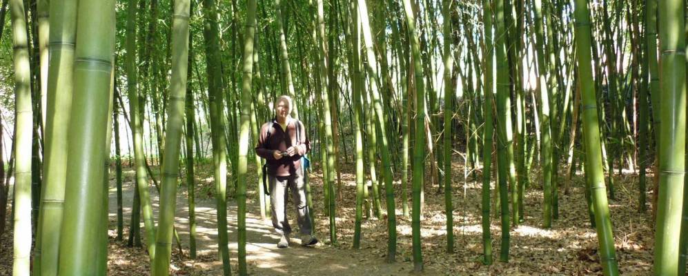 
            Фотография Лесперона