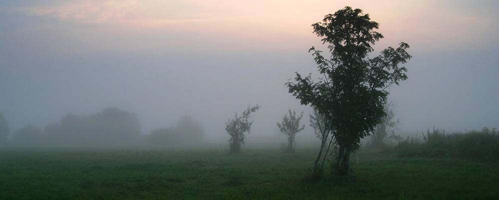 Фотография Лысухино