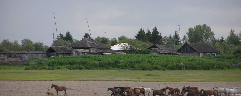 
            Фотография Подкаменки