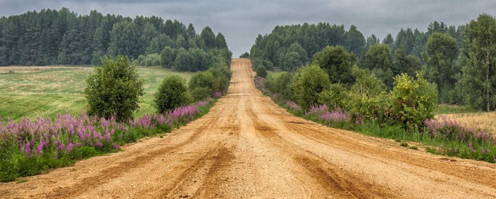 
            Фотография Тюприхи