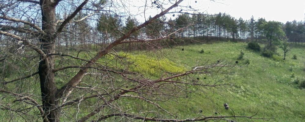 
            Фотография Среднего Качмаша